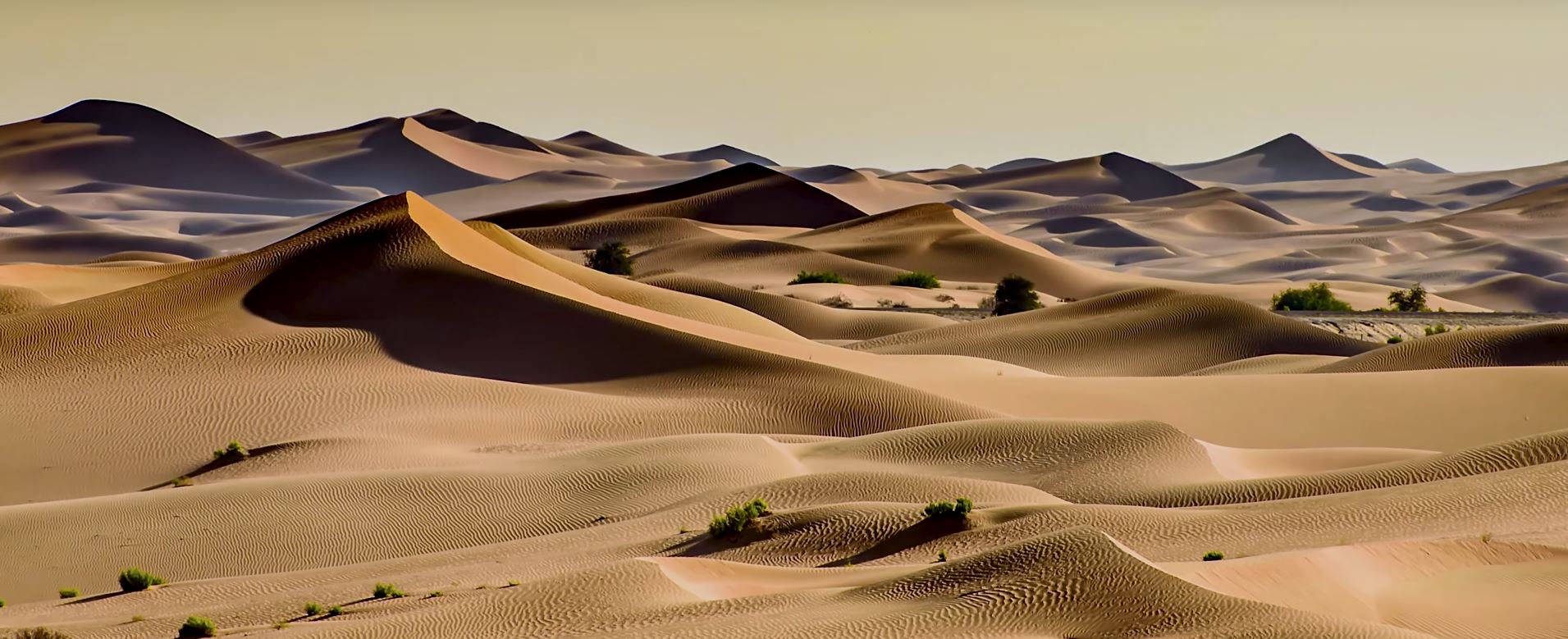 Laayoune To Dakhla A Journey Through Morocco S Sahara BEWILDERED IN