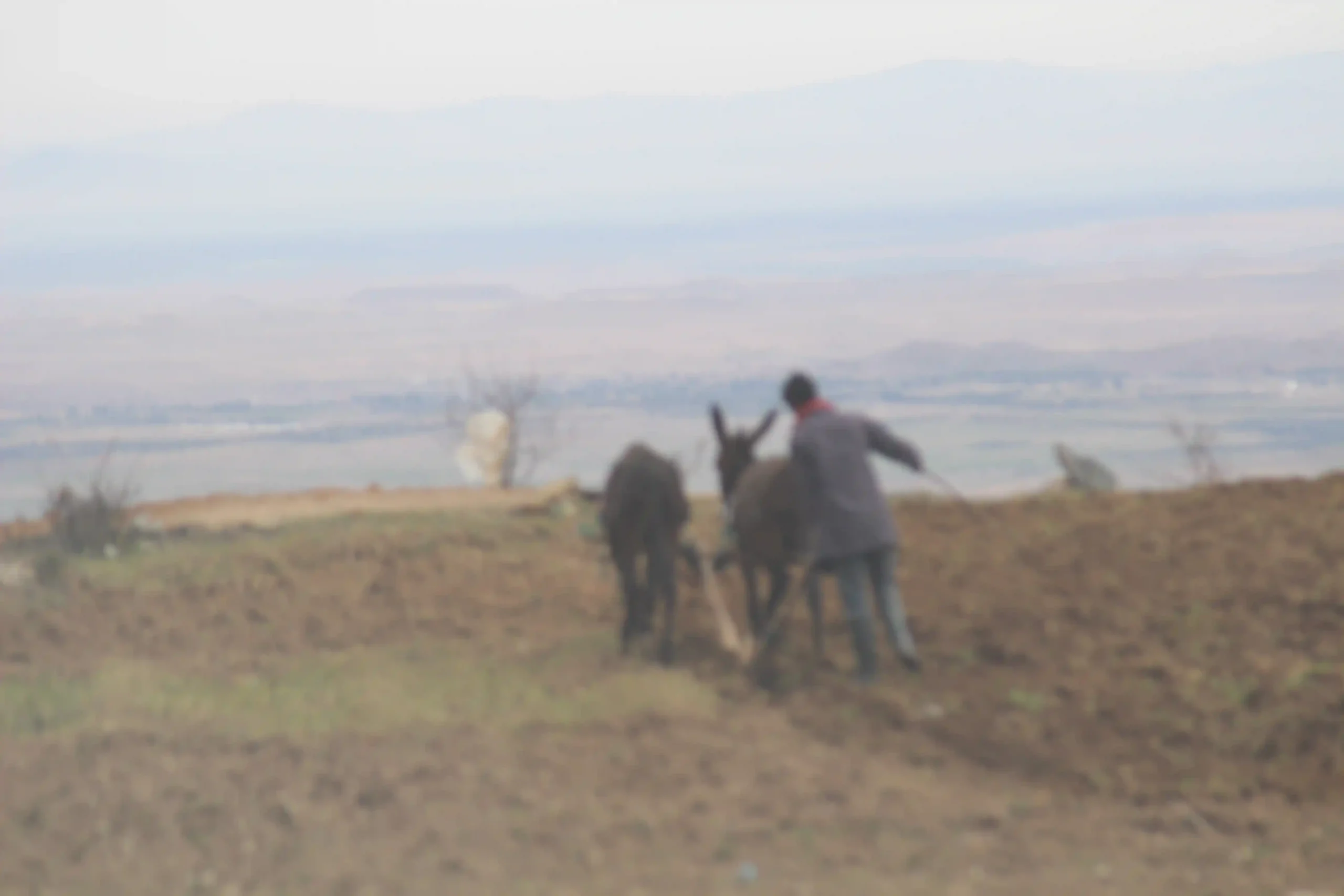 Cultural Immersion: Douar Ait Tirghit