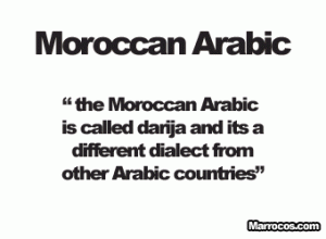 Learn Moroccan Arabic 300x220 Bewildered In Morocco