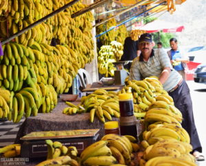 Banana seller in Aourir, aka Banana Village