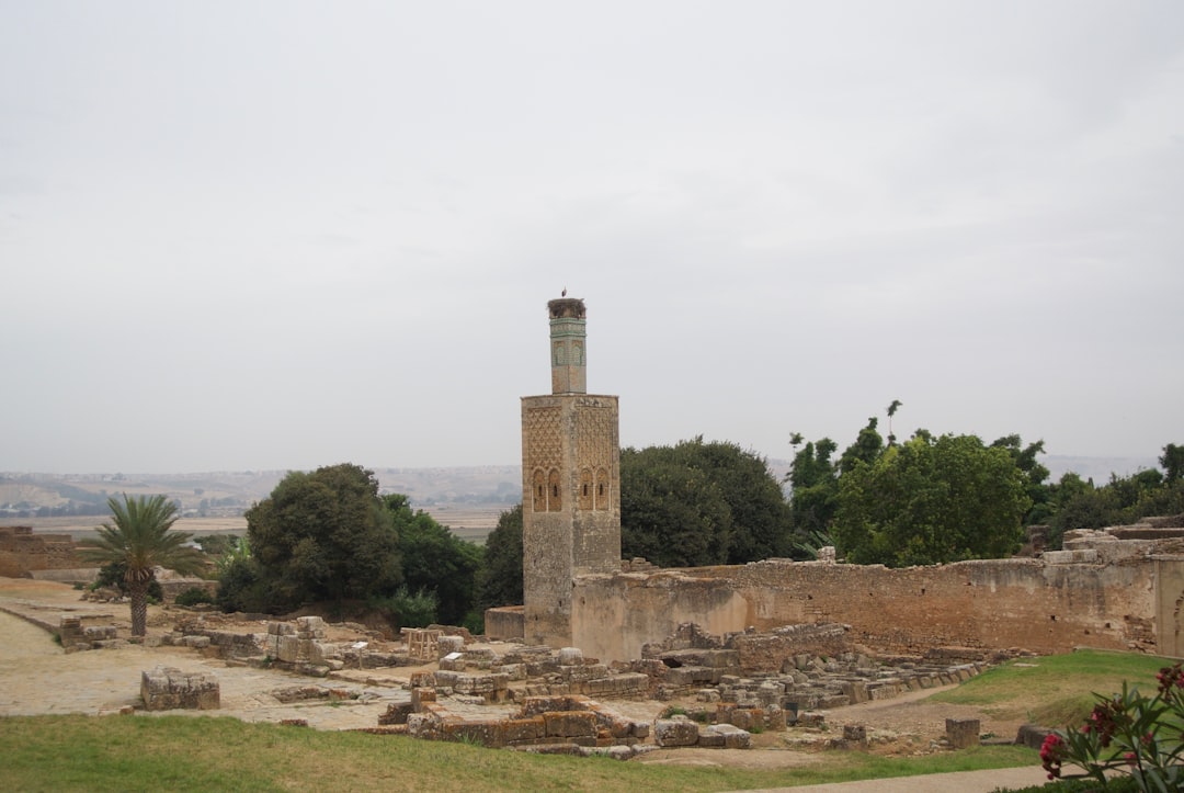 The ruins of the ancient city of chellah