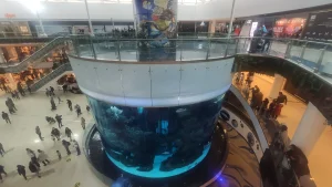 Discover the Morocco Mall experience in Casablanca with its impressive aquarium, luxury shopping, and beautiful outdoor spaces. Africa's largest mall is a must-visit attraction!