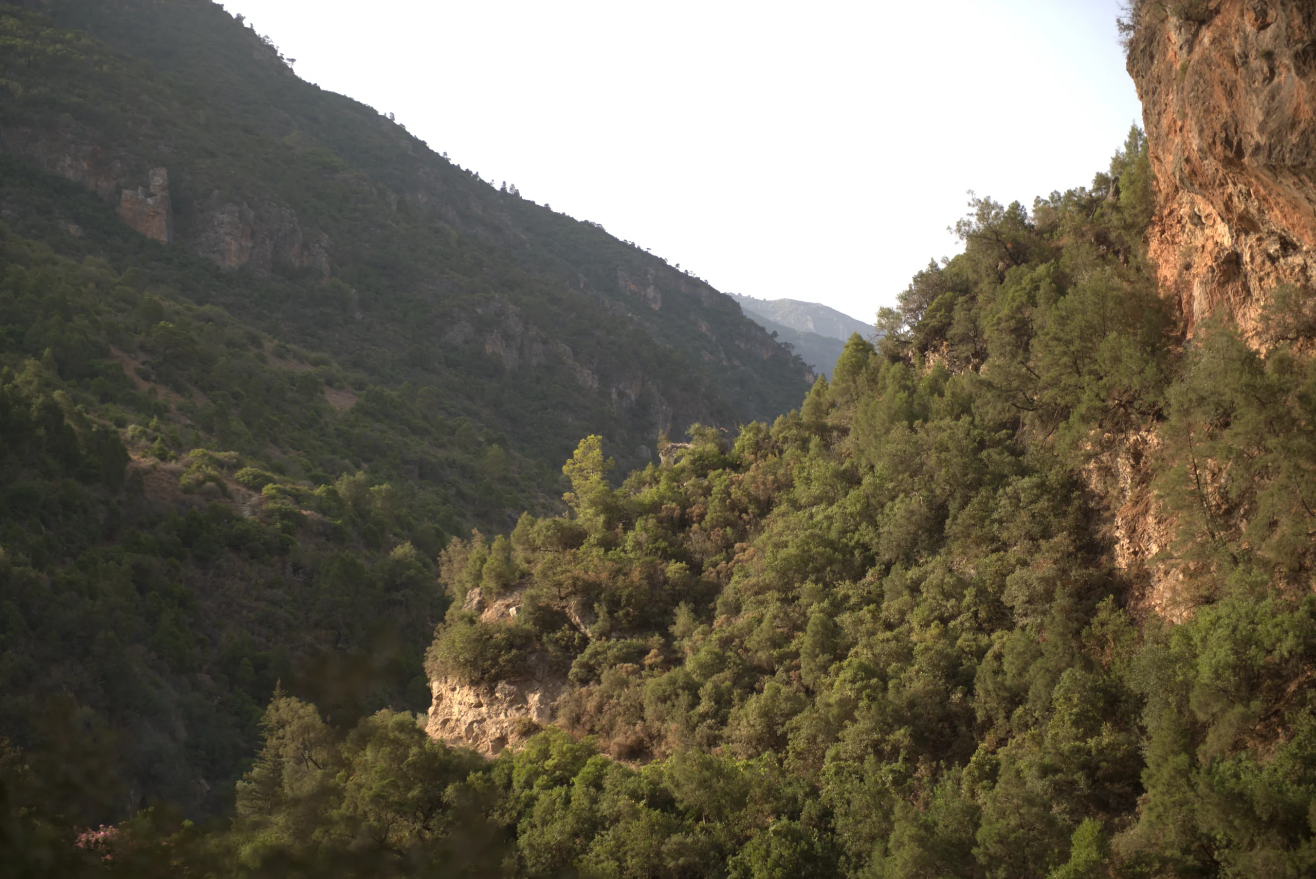 Wildlife and Nature in Akchour