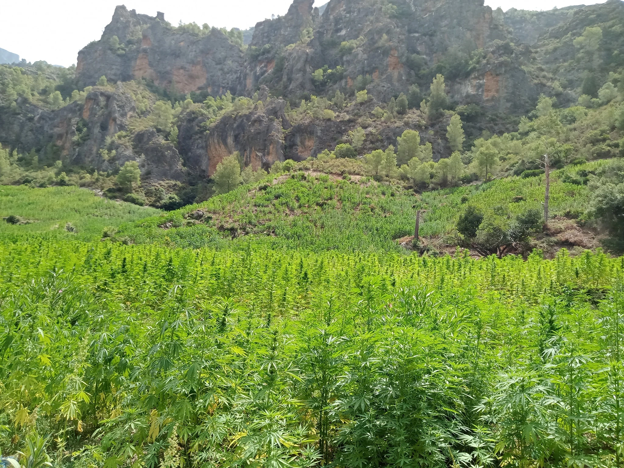 Oued El Kenar Morocco