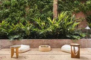 Maison Brummell Majorelle