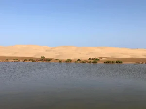 Plage Blanche Morocco