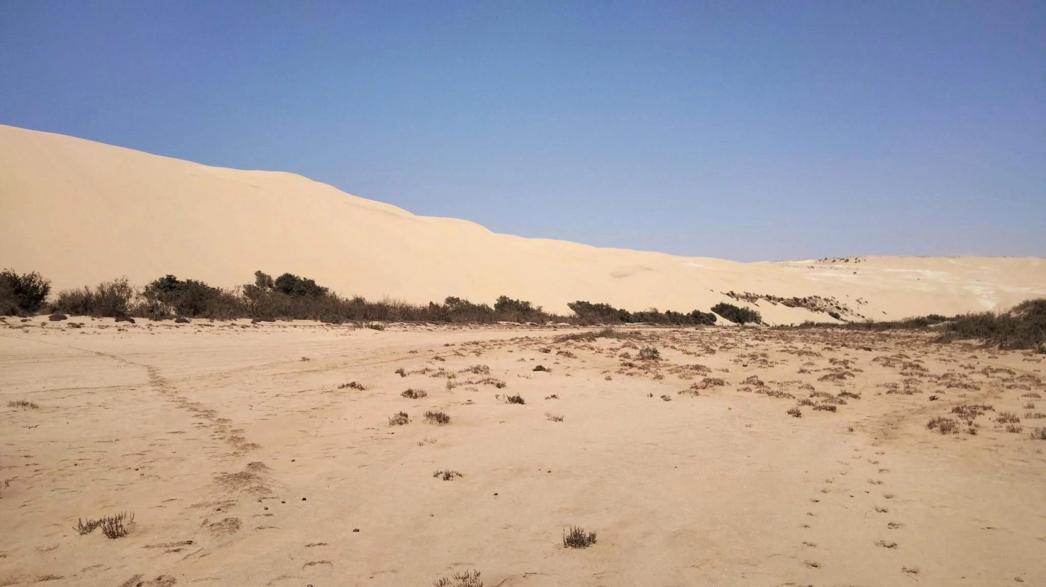 Plage Blanche Morocco Plage Blanche Morocco