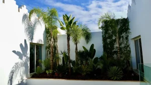 Discover why Rabat deserves its nickname "City of Lights." From Mohammed VI Tower to Marina views, explore Morocco's capital through local eyes.