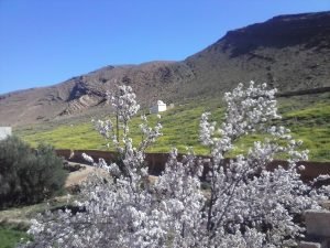 Ifrane Atlas Saghir