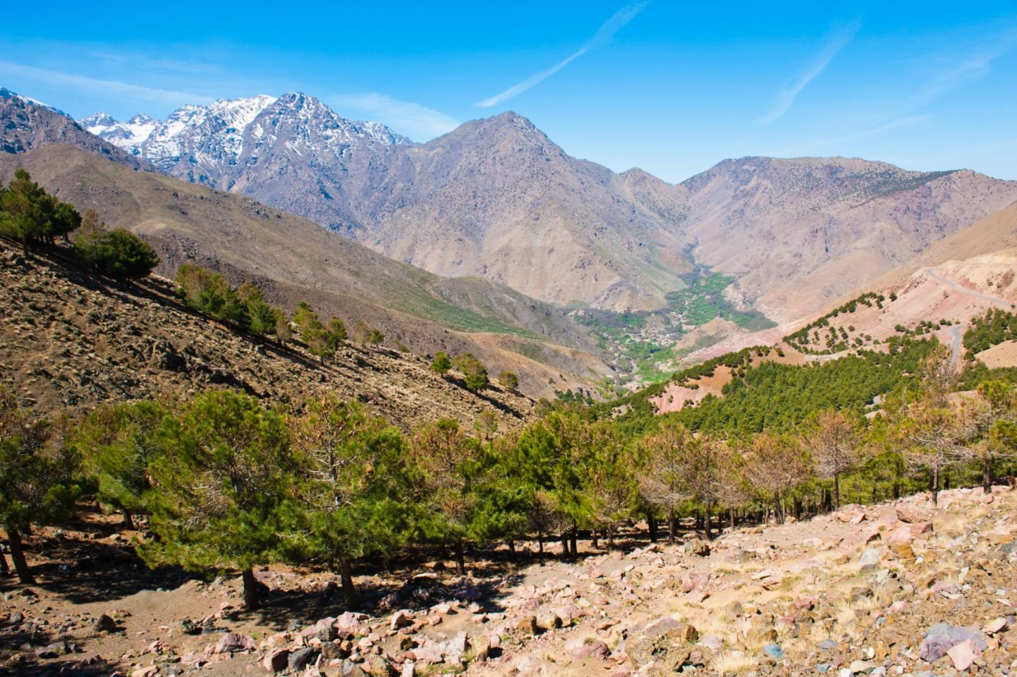 Have you ever wondered what it's like to stand on the roof of Morocco? Let me take you to Tacheddirt, a remote Berber village perched at 2314 meters in the High Atlas Mountains. This isn't your typical tourist stop—it's a place where mountain air feels crisp in your lungs, where traditional clay houses cling to steep valleys, and where the warmth of Berber hospitality makes every visitor feel at home.
Over the years, I've explored countless corners of Morocco, but Tacheddirt holds a special place in my heart. It's where modern life pauses, where ancient traditions breathe, and where every sunrise paints the snow-capped peaks in shades of gold and rose.
Why Tacheddirt Morocco Should Be On Your Travel List
A Village Above the Clouds
Tacheddirt sits in the Rhirhaia valley, about 4 kilometers upstream from Ikkiss, making it the highest settlement in this spectacular region. The village falls within the Marrakech-Safi region, near the commune of Asni, and serves as a gateway to Toubkal National Park—home to North Africa's highest peak, Jebel Toubkal.
What makes this village truly special isn't just its elevation. It's the way life unfolds here, unchanged by decades, where farming terraces cascade down mountainsides and where forests of birch, juniper, and saxifrage create a dramatic natural backdrop.
The Journey Matters
Getting to Tacheddirt is half the adventure. Most travelers start in Marrakech, and from there, the journey becomes a story worth telling.
From Marrakech to Imlil
Your first step takes you to Imlil, the bustling village known as the gateway to the High Atlas. Shared taxis run regularly from Marrakech to Imlil—a budget-friendly option where you'll share the ride with other travelers and locals. These taxis wait until they're full before departing, so bring a book or simply enjoy watching the plains gradually give way to mountain foothills. The journey takes about 1.5 to 2 hours, and the views get better with every kilometer.
The Trek from Imlil
Once you reach Imlil, the real adventure begins. There's no road for cars beyond this point—only footpaths that have been walked for centuries. The trek to Tacheddirt typically takes 2.5 to 4 hours, depending on your pace and how often you stop to catch your breath or snap photos (and trust me, you'll want to do both frequently).
The trail leads you eastward up the valley, passing through Tamatert and over a mountain pass. You'll walk along the south side of the valley until you reach a river ford that brings you into Tacheddirt proper. Along the way, you might see villagers collecting firewood or shepherds guiding their flocks—glimpses of a lifestyle that has sustained these mountain communities for generations.
What to Experience in Tacheddirt Morocco
Trekking Adventures
Tacheddirt serves as an excellent base camp for mountain exploration. Many trekkers spend a night or two here before pushing deeper into the High Atlas, but I recommend staying longer and using the village as your hub for day hikes. This approach lets you explore without the pressure of constant packing and unpacking.
Popular Routes:
The trek from Imlil to Tacheddirt makes for a relatively gentle introduction, with moderate elevation changes perfect for acclimatization. From Tacheddirt, you can continue eastward up the valley to Tizi n' Tacheddirt pass at 3230 meters—a challenging but rewarding climb.
For experienced hikers seeking serious adventure, the circular route through Ouka-Tacheddirt-Tim offers varied terrain and stunning vistas. The truly ambitious can tackle multi-summit routes, including peaks like Aneghmer (3920m), Taddat, Ayour, and Bouiguenouane.
Each trail reveals different facets of the High Atlas—from gentle valleys dotted with wildflowers to rugged ridges where snow lingers into late spring.
Living Berber Culture
Beyond the hiking, Tacheddirt offers something increasingly rare: authentic cultural immersion. The villagers here maintain traditional ways of life, and they're remarkably welcoming to visitors who approach with respect and genuine interest.
Staying in a local guesthouse like Tigmi Tachddirt means experiencing Berber hospitality firsthand. You'll sleep in traditionally decorated rooms, eat homemade meals prepared with local ingredients, and probably find yourself invited to share mint tea—Morocco's universal symbol of welcome and friendship.
The tea ceremony itself is worth experiencing. Watch as your host pours from height, creating a frothy layer that signals proper preparation. The first glass is often strong, the second sweeter, and the third smoother still. Each cup tells a story of patience and tradition.
The village economy relies mainly on subsistence farming and livestock. You'll see terraced fields carved into impossibly steep slopes, growing crops hardy enough to survive the altitude and temperature swings. Goats and sheep are everywhere, their bells creating a gentle soundtrack to mountain life.
Understanding Traditional Mountain Architecture
My background in construction has taught me to appreciate how buildings respond to their environment, and Tacheddirt's traditional houses are masterclasses in climate-appropriate design.
The thick walls and small windows aren't arbitrary choices—they're intelligent responses to harsh mountain conditions. Those thick walls, built from local stone and clay, insulate interiors against summer heat and winter cold. Small windows minimize heat loss while still allowing light inside.
The natural materials blend seamlessly with the landscape, making the village look almost like a natural extension of the mountainside. This sustainable building practice, refined over centuries, shows deep understanding of local climate and available resources.
Practical Information for Your Visit
Best Time to Visit
Spring (April-May) and autumn (September-October) offer the most pleasant trekking conditions, with mild temperatures and stable weather. Summer months (June-August) bring warmth ideal for higher-altitude exploration, though afternoons can get hot at lower elevations.
Winter (November-March) transforms Tacheddirt into a snowy wonderland, but this season requires specialized gear and experience with winter mountain conditions. Snow can make trails challenging or impassable for inexperienced trekkers.
Do You Need a Guide?
While experienced mountain trekkers might manage shorter, well-marked trails independently, I strongly recommend hiring a local guide, especially for longer routes or if you're new to mountain trekking. Guides ensure your safety, share cultural insights you'd otherwise miss, and help you discover hidden spots off the main trails. Plus, hiring local guides directly supports the community.
Where to Stay
Accommodation in Tacheddirt means traditional guesthouses and mountain refuges, typically run by Berber families. These range from dormitory-style rooms to private quarters, all offering authentic experiences. Expect comfortable beds, hot meals, and genuinely warm hospitality. Don't expect luxury hotels—the real luxury here is simplicity and connection to place.
What to Pack
Essential items include:

Sturdy hiking boots (broken in before your trip!)
Layered clothing (temperatures swing dramatically from day to night)
Sun protection: hat, sunglasses, high-SPF sunscreen
Refillable water bottle
Basic first-aid supplies
Any personal medications
Camera (you'll regret not bringing one)
Waterproof layers if visiting in shoulder seasons
Warm clothing for evenings year-round

Family-Friendly?
Tacheddirt can work for families who enjoy outdoor activities and don't mind basic accommodations. Shorter walks around the village offer cultural experiences without demanding fitness, though longer treks might challenge very young children. Assess your family's abilities honestly before committing.
Speaking the Language of Hospitality
You don't need to speak Arabic or Tamazight (the Berber language) to connect with people in Tacheddirt, but learning a few phrases shows respect and opens doors.
"Salam alaikum" (peace be upon you) is your universal greeting. Follow it with a smile, and you've made a friend. Moroccans, especially in close-knit mountain communities, respond warmly to visitors who make even small efforts to engage respectfully.
That smile and simple greeting can lead to shared meals, impromptu tea ceremonies, and conversations that transcend language barriers.
Why Tacheddirt Stays With You
Every time I return to Tacheddirt, I'm struck by how completely it contrasts with Morocco's bustling cities. There's no call to prayer from multiple mosques competing for airspace. No motorbikes weaving through crowded medinas. No merchants calling out to tourists.
Instead, there's the sound of wind through valley walls, the distant tinkling of goat bells, and the rush of mountain streams. There's the sight of first light touching the highest peaks while the valley still sleeps in shadow. There's the taste of fresh bread baked in a traditional oven, served with local honey and butter.
But what really stays with you is the people. The shepherd who stops to point out the trail. The grandmother who insists you take more tea. The children who wave shyly from doorways. These moments of human connection, set against one of nature's most spectacular backdrops, create memories that outlast any photograph.
Your Turn to Explore
Tacheddirt isn't easy to reach. It requires effort, a willingness to leave comfort zones, and an openness to experiencing Morocco at its most authentic. But if you're reading this, you're probably exactly the kind of traveler who'll appreciate what this village offers.
Have you visited remote mountain villages elsewhere in Morocco or in other countries? What made those experiences memorable for you? Are you planning a trek to Tacheddirt, or does this inspire you to add it to your Morocco bucket list?
Share your thoughts in the comments below—I'd love to hear about your mountain adventures or help answer any questions about planning your own journey to this spectacular corner of the High Atlas.
